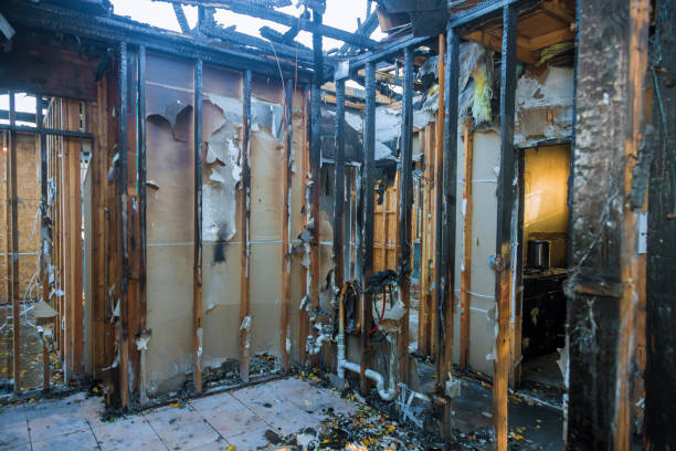 Professional Fire Damage Removal technician working in Blythewood, SC